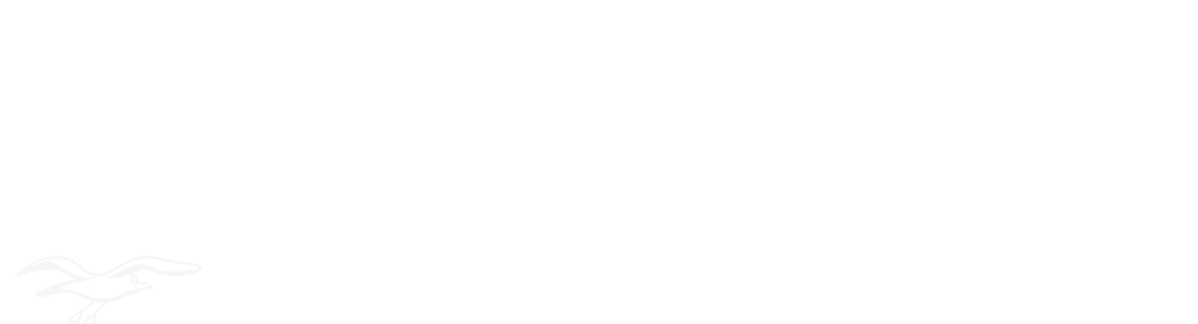 YOKOHAMA 1993-2018
