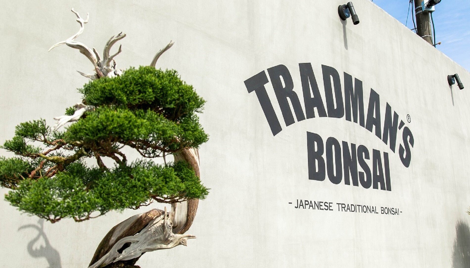 POP UP STORE: TRADMAN'S BONSAI | BARNEYS NEW YORK OFFICIAL SITE